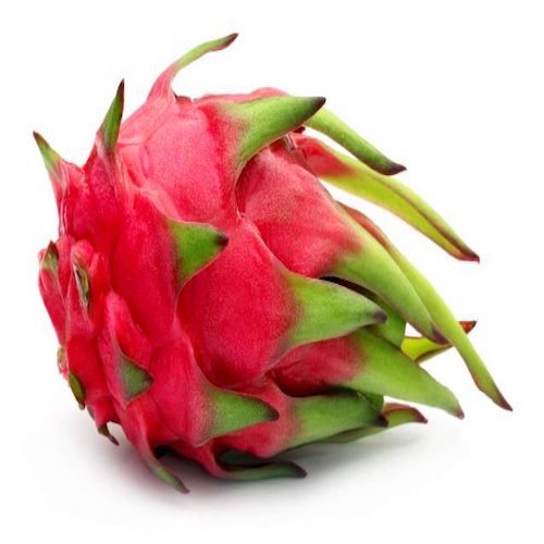 Pitahaya Bio