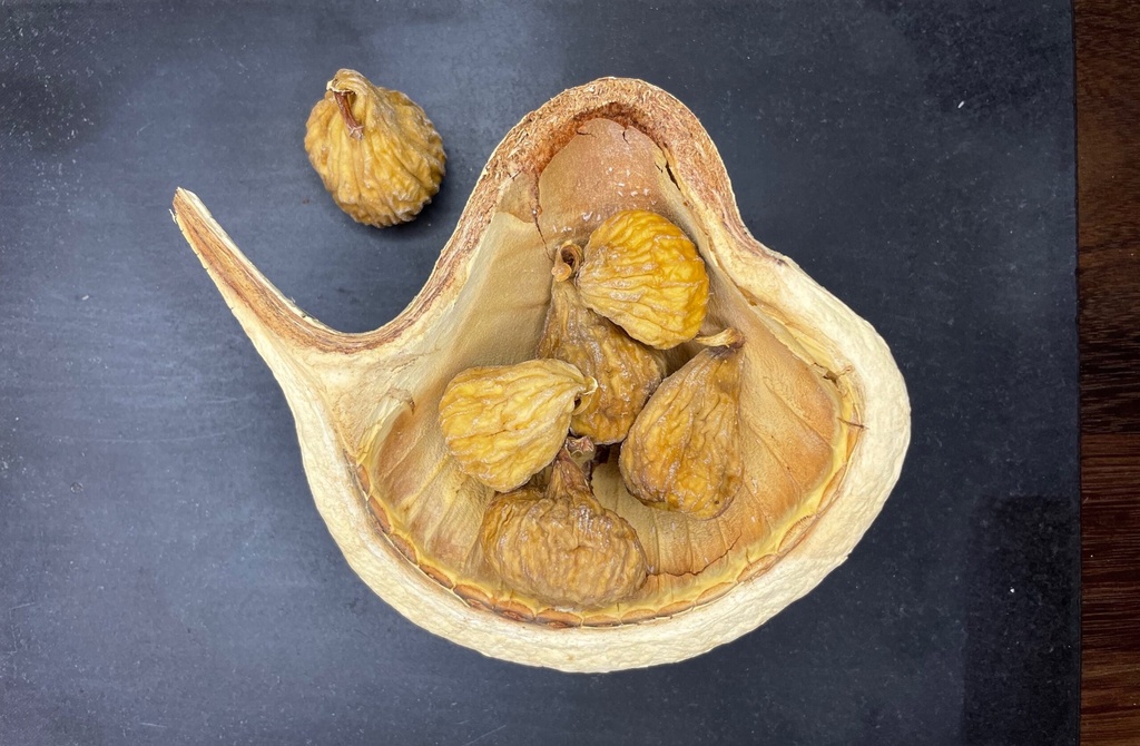 Higos Secos Cuello Dama Bio
