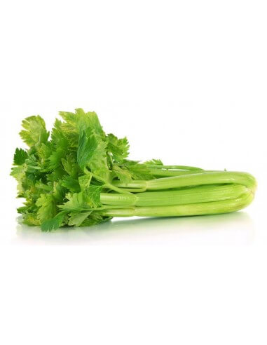 Apio Verde Bio
