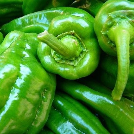 Pimiento Verde Bio