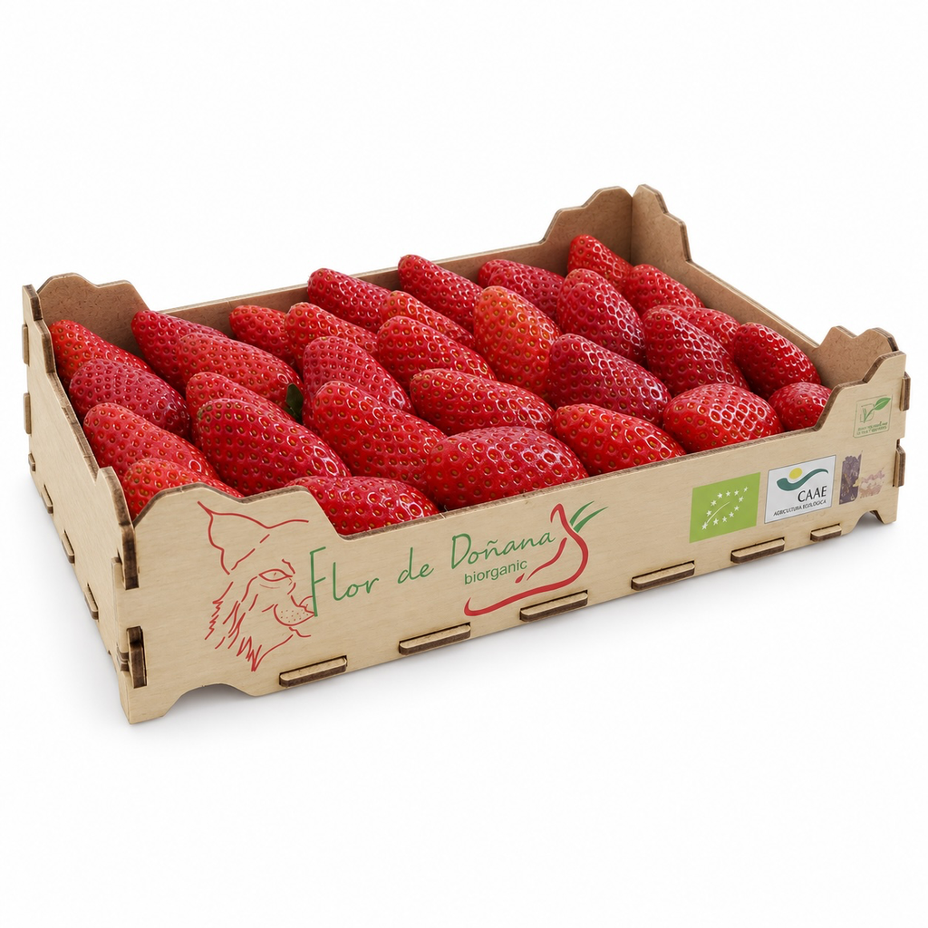 Fresas Bio - Caja 1kg aprox.