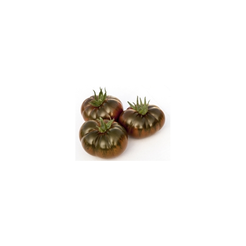 Tomate Iberiko XXL