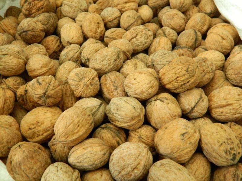 Nueces de montaña con cáscara/ Nueces de Cáscara Nacional