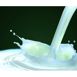 Leche Fresca de Oveja