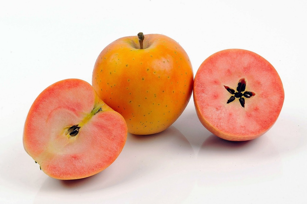 Manzana Kissabel