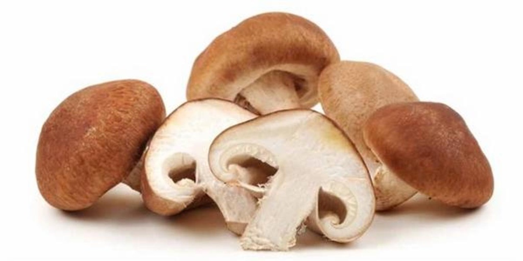 Shiitake bandeja