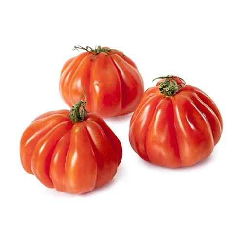 Tomate corazón de Buey