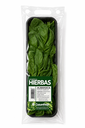 Albahaca fresca bandeja