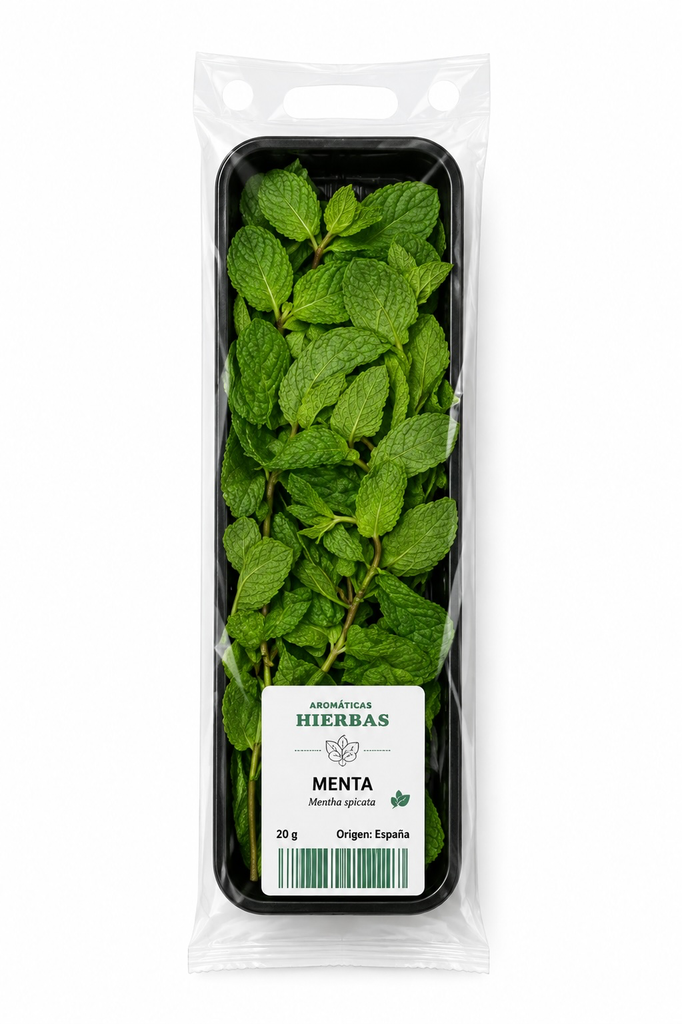 Menta fresca bandeja