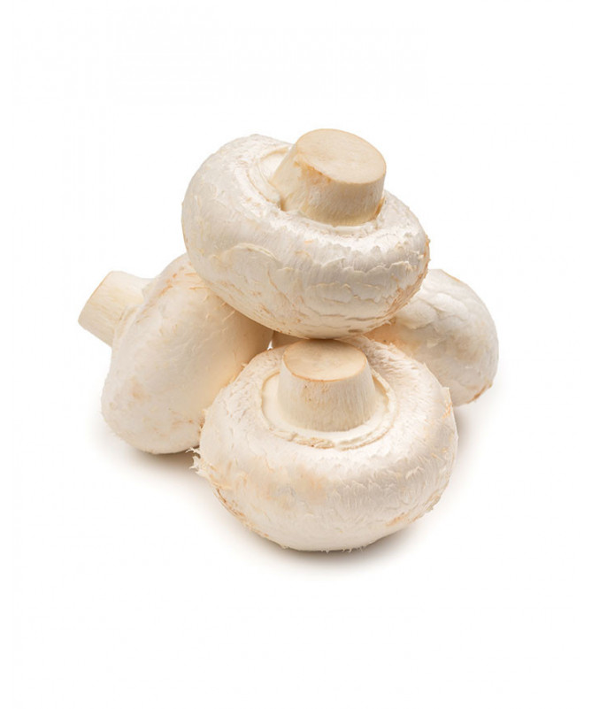 Champiñones extra