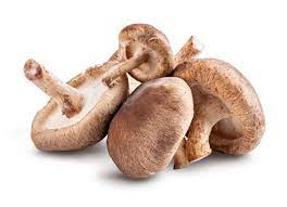 Shiitake extra