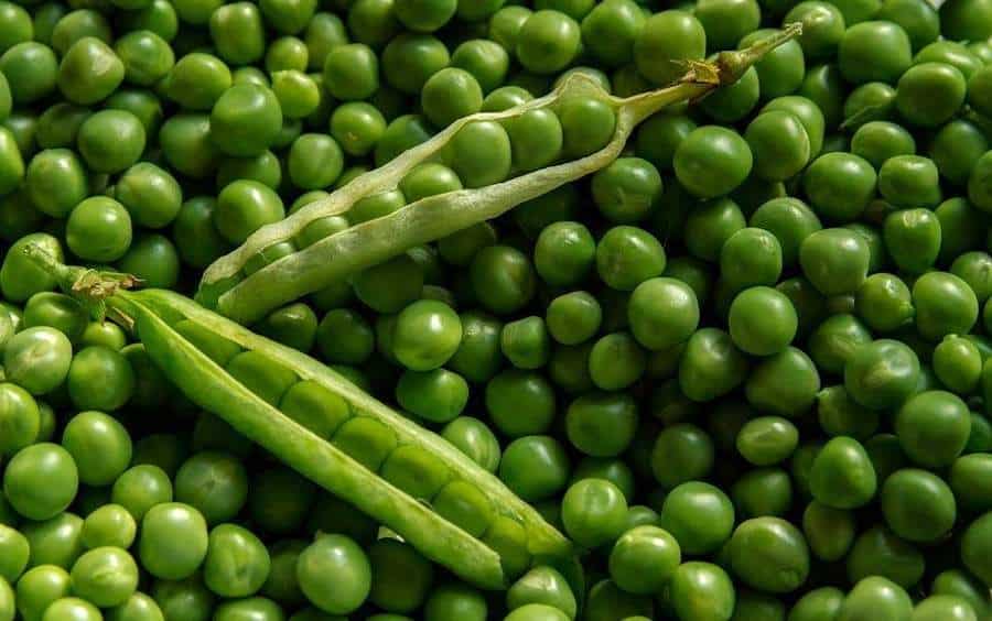 Guisantes extra