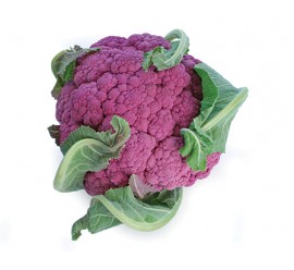 Coliflor Morada