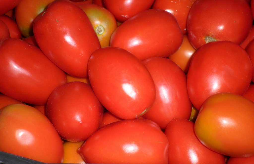 Tomate de Pera extra