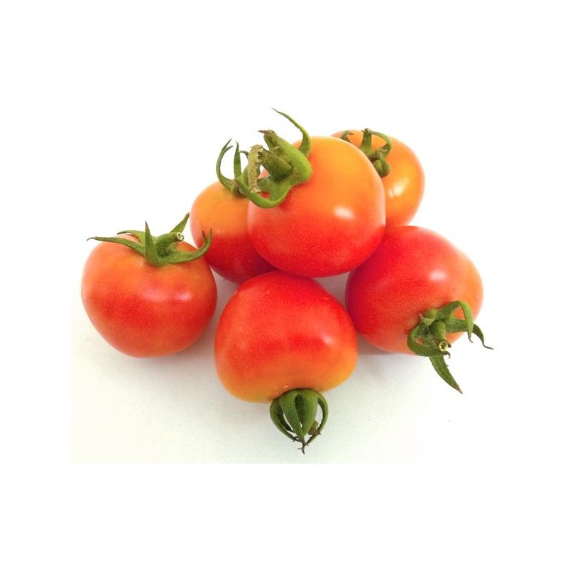 Tomate de Colgar