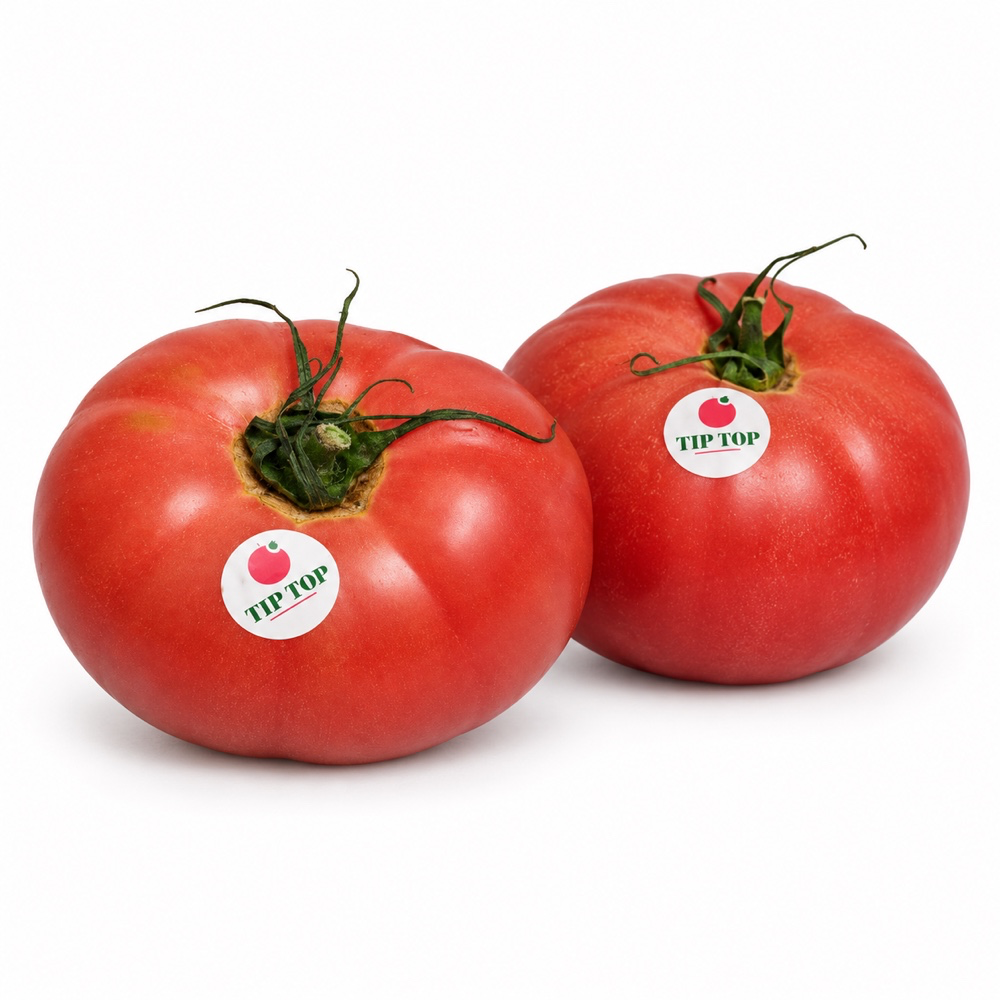 Tomate Tip Top