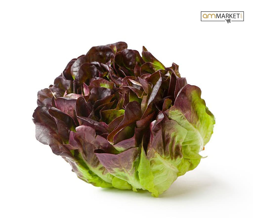 Hoja de Roble