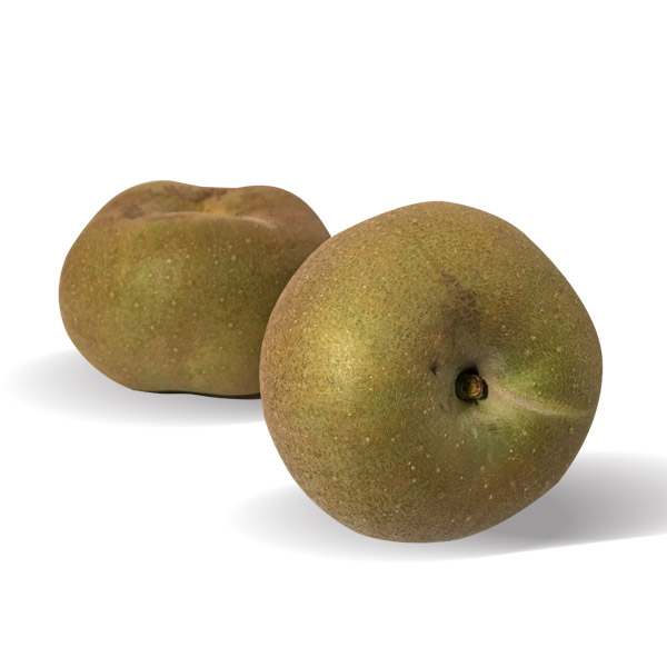Manzana Reineta