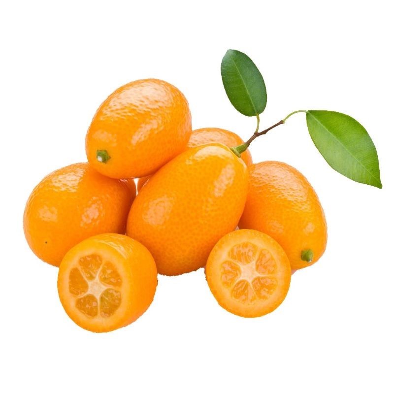 Kumquat Bio