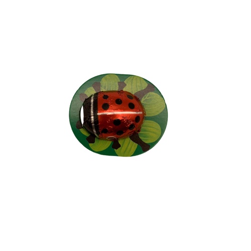 Mariquita de Chocolate Bio