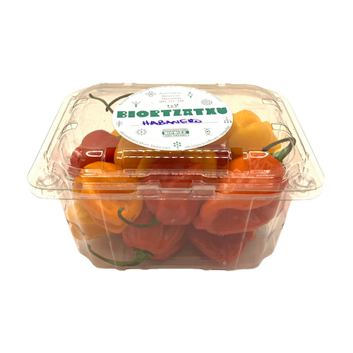 Pimiento Chile Habanero Bio