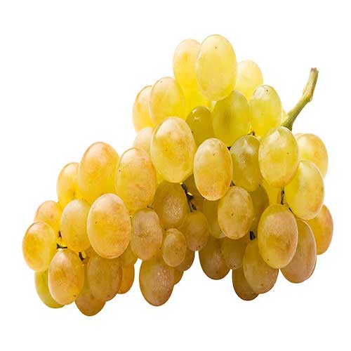 Uva Moscatel Bio