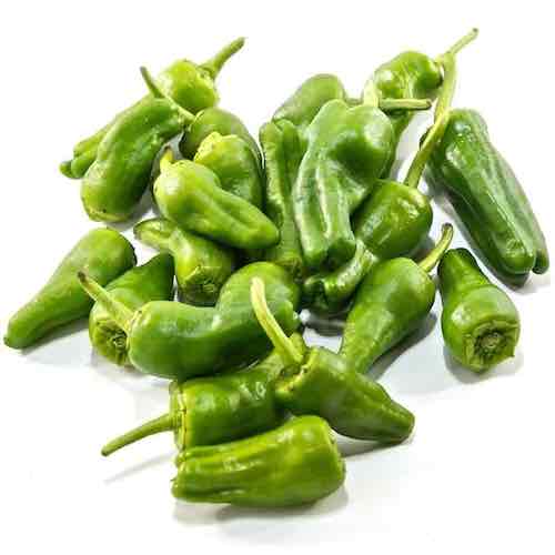 Pimiento de Padrón