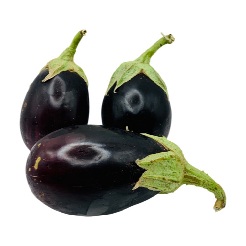 Berenjena de Huerto Bio