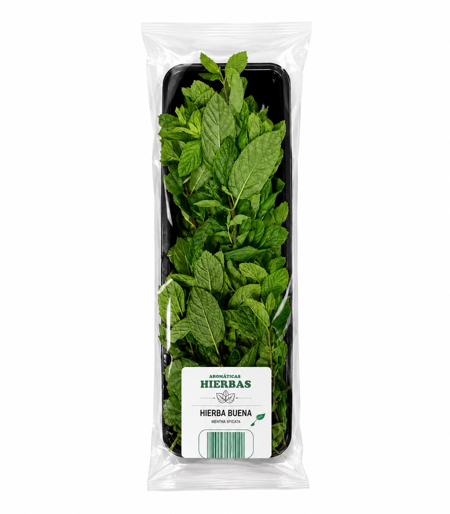 Hierbabuena fresca bandeja
