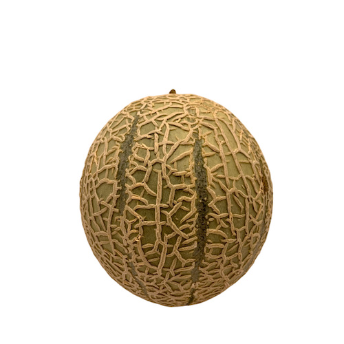 Melón Cantaloup Bio