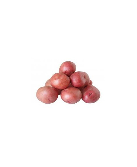 Patata Roja Bio