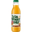 Zumo de 5 Frutas con Ginseng y Guaraná