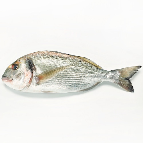 [3271] Dorada Eviscerada Bio - CONGELADO