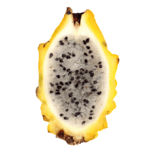 [2823] Pitahaya Amarilla (Media)