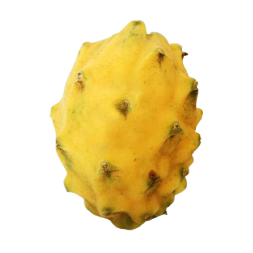 [2804] Pitahaya Amarilla
