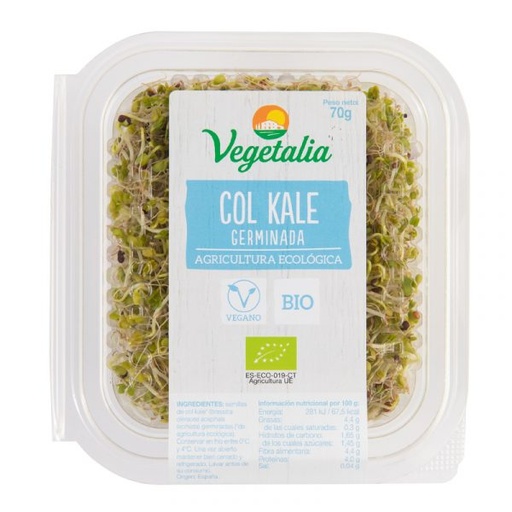 [2678] Germinado de Col Kale Fresco Bio