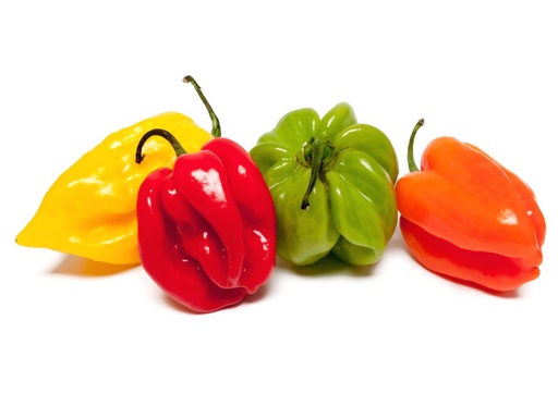 [2659] Pimiento Habanero (Antillano)
