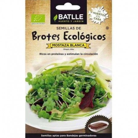 [2560] Semillas Brotes Mostaza Blanca Bio