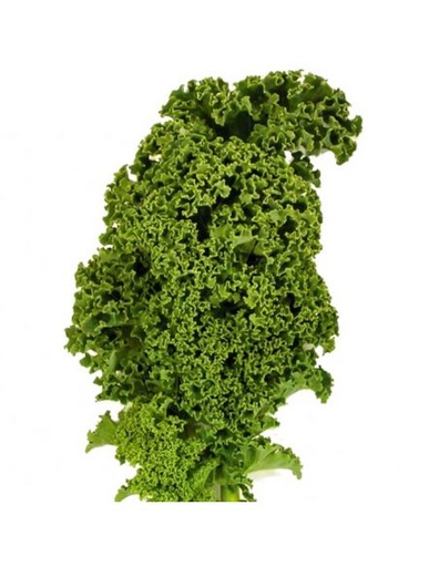 [2491] Kale Huerto Bio