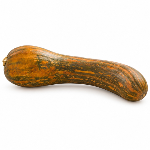 [2347] Calabaza Naranja Bio (Entera)