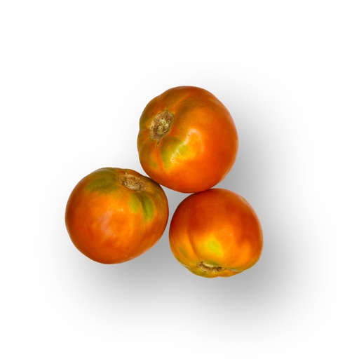 [2288] Tomate Zaragoza Huerto