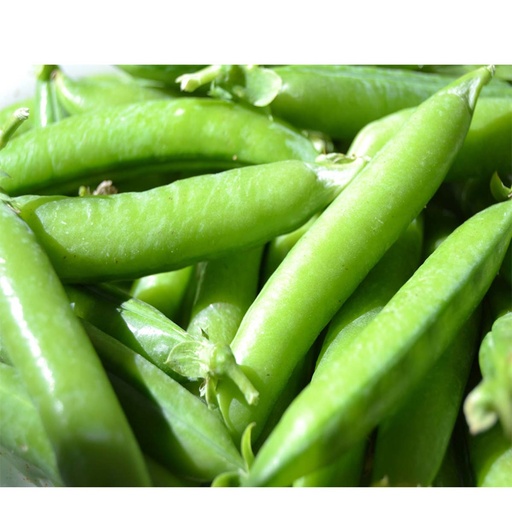 [2226] Guisantes Bio