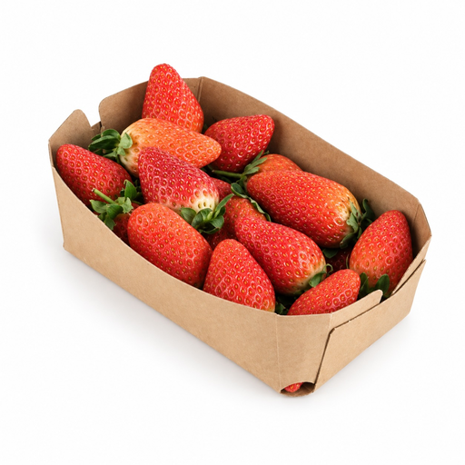 [2123] Fresas Bio Tarrina