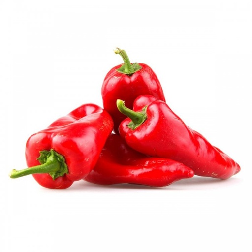 [2061] Pimiento Rojo Palermo Italiano