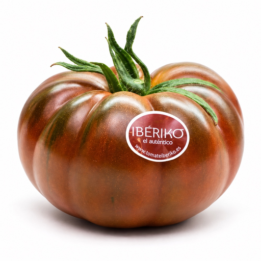 [2029] Tomate Iberiko extra