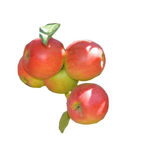 [1762] Manzana Montañesa