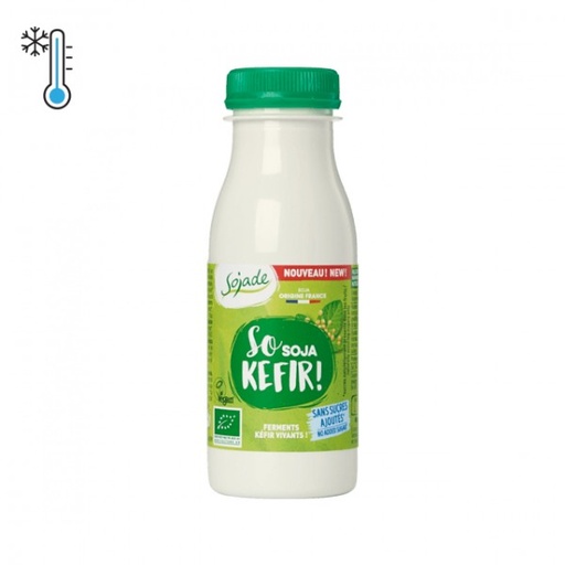 [1456] Kefir de soja natural