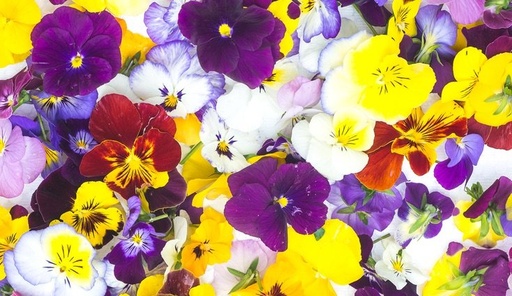 [1302] Flores Comestibles Bandeja