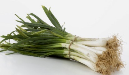 [1259] Calçots Manojo (25 unidades) (ENCARGO: 4 días antes)