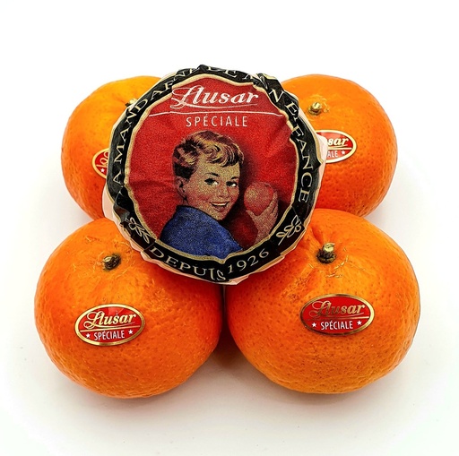 [1168] Mandarina Bolsa Llusar